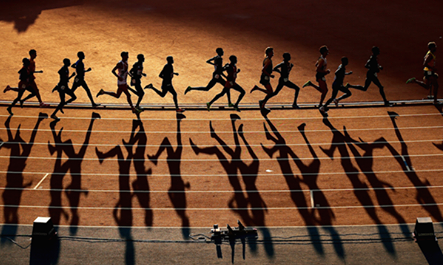 浙江队拥有 浙江队拥有