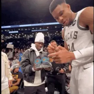 着可在后续 着可在后续